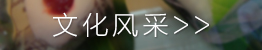 文化風(fēng)采